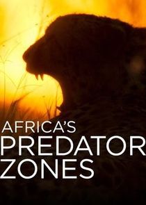 WatchStreem - Watch Africa's Predator Zones