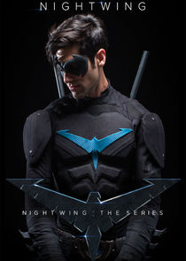 Nightwing: The Series poszter