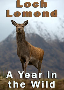 Ezstreem - Watch A Year in the Wild