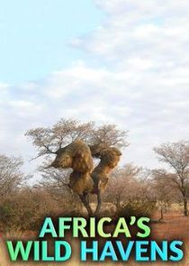 Ezstreem - Watch Africa's Wild Havens