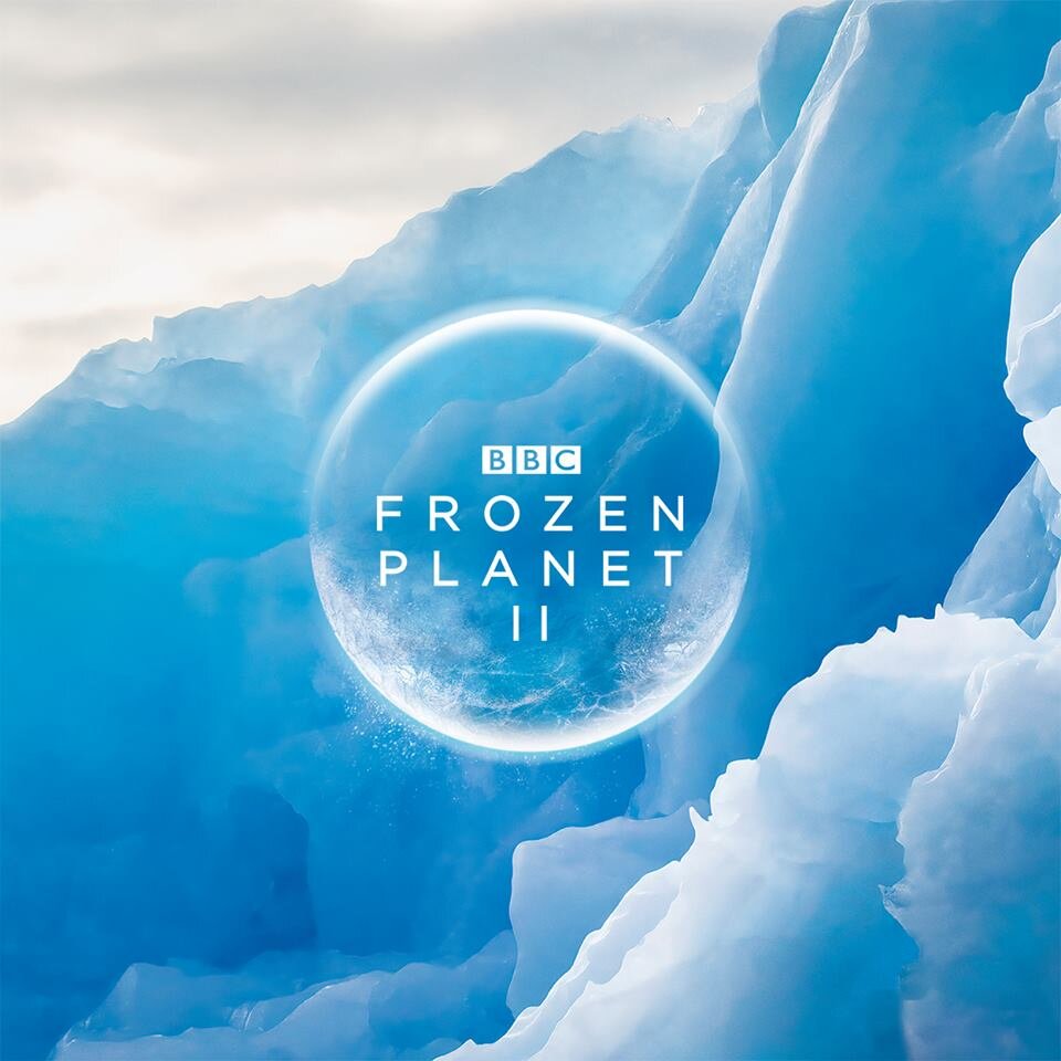 Frozen Planet Ii Tvmaze