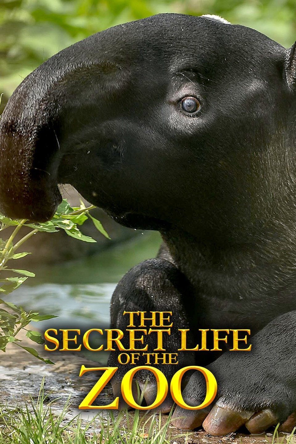 the secret life of the zoo