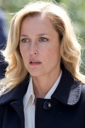 Detective Superintendent Stella Gibson