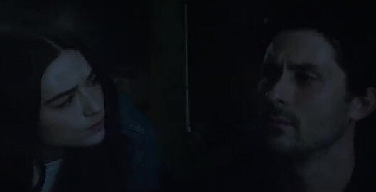 Crystal Reed, Andy Bean, Swamp Thing S01E07