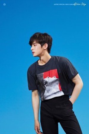 Cha Eun Woo