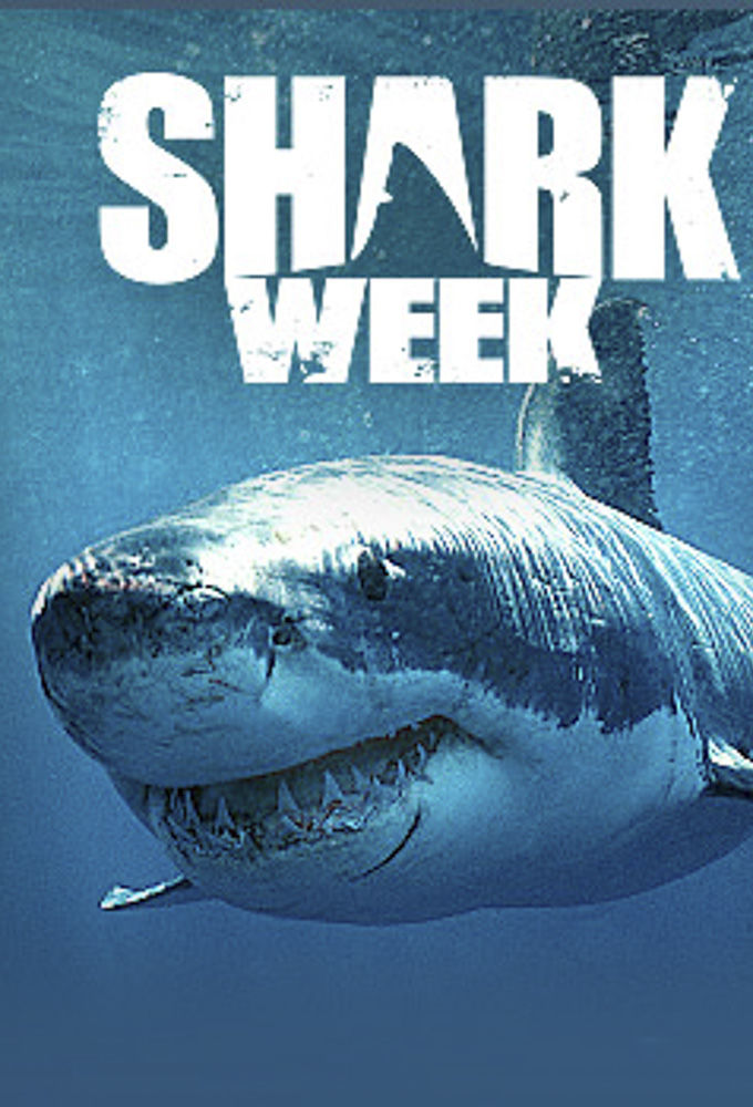 When Is Shark Week 2018? Full Schedule Released By 