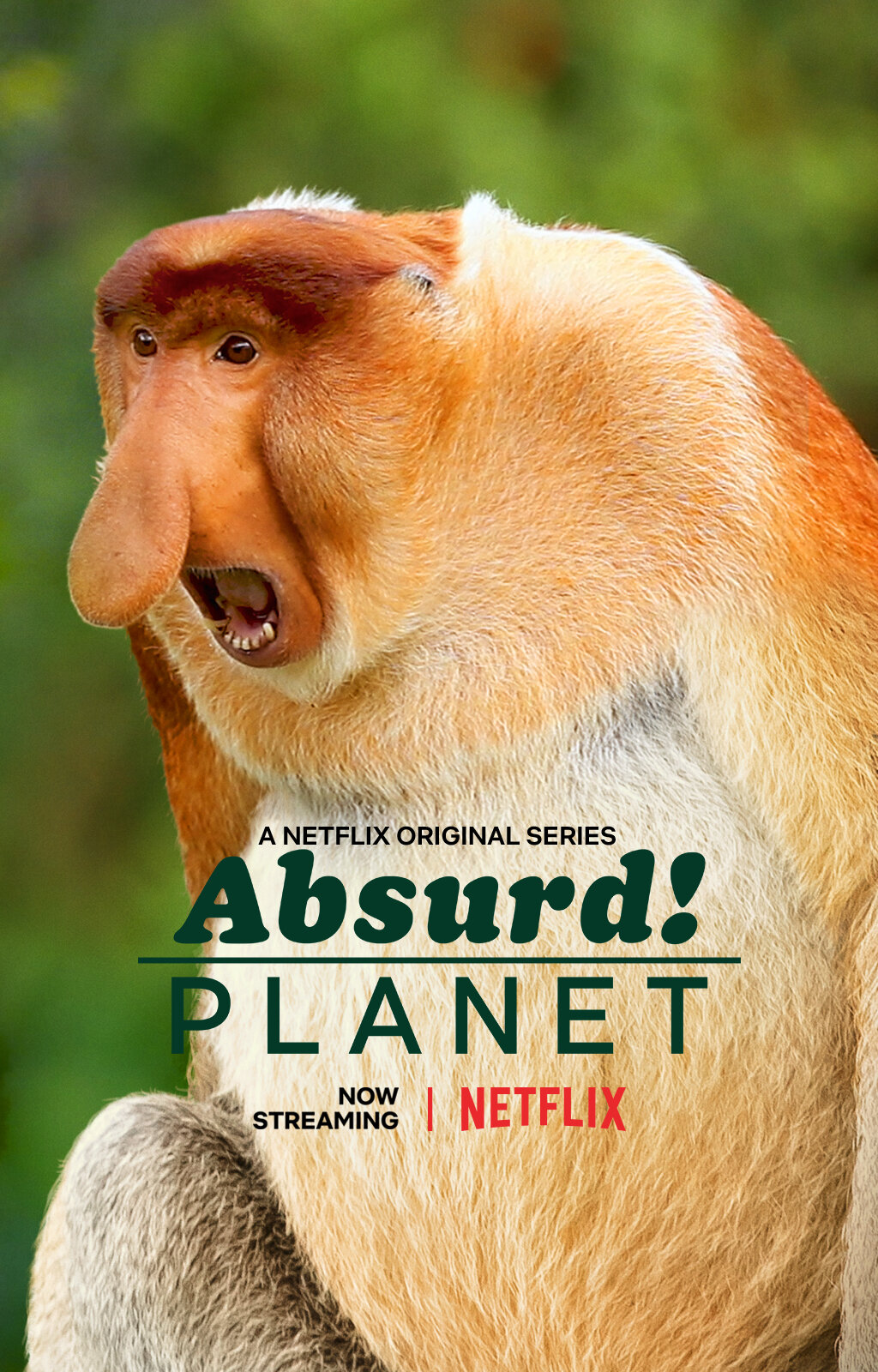 absurd-planet-tvmaze