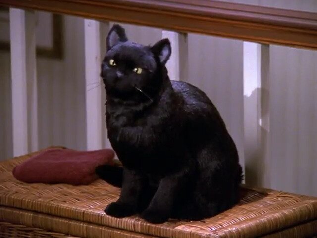 Salem Saberhagen