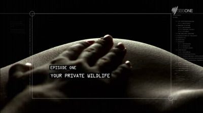 Your Private Wildlife