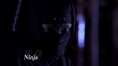 Iga Ninja Forest