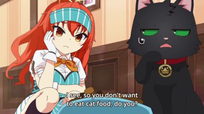 I Magically Became a Cat!?