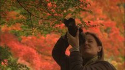 Haiku Poetry, Autumn Foliage: Otsu & Ogaki
