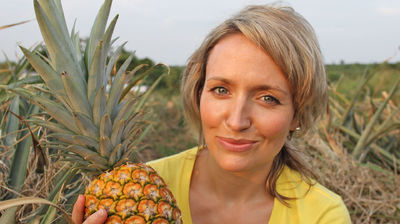 Revisited: Pineapples, Vitamin D, Elderflower Cordial