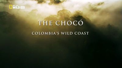 The Chocó: Colombia's Wild Coast