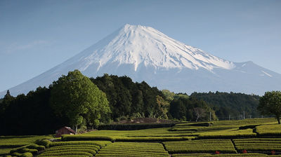 Spring: Through Izu to Mt. Fuji