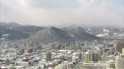 Forests in Sapporo, Winter