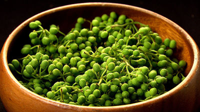 Japanese Pepper: The Zesty Spice of Kyoto Cuisine