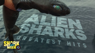 Alien Sharks: Greatest Hits