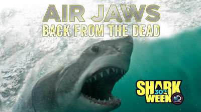 Air Jaws: Back From the Dead