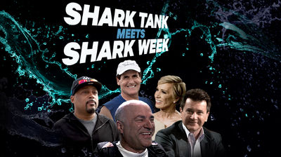 Shark Tank Meets Shark Week