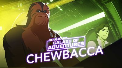 Chewbacca - The Trusty Co-Pilot
