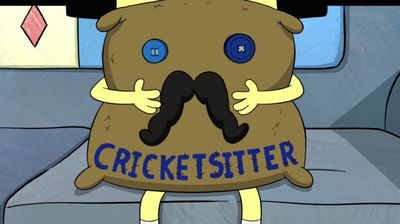 Cricketsitter