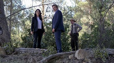 Wedding in Red - The Mentalist 6x03 | TVmaze