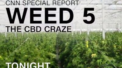 Weed 5: The CBD Craze