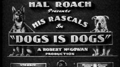 Dogs Is Dogs