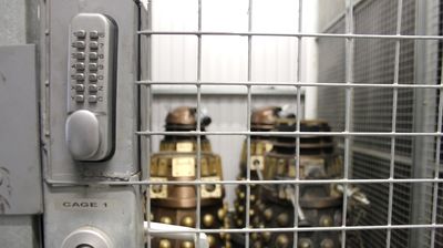 Into the Dalek