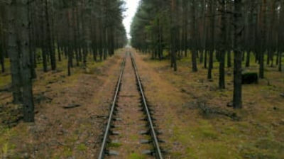 Nazi Doomsday Forest