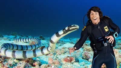 Andy and the Sea Kraits