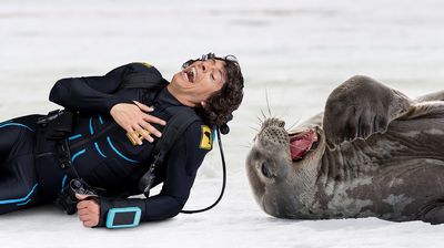Andy and the Weddell Seals
