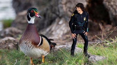 Andy and the Wood Ducks