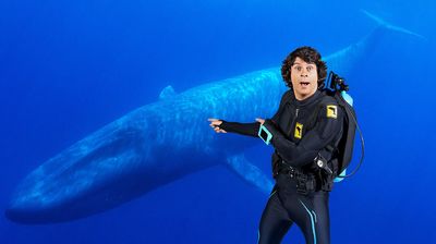 Andy and the Blue Whale