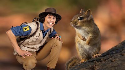 Andy and the Chipmunk