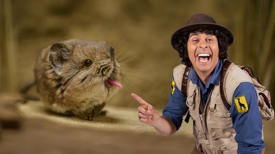 Andy and the Elephant Shrew
