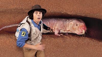 Andy and the Naked Mole Rat