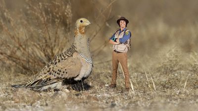 Andy and the Sand Grouse