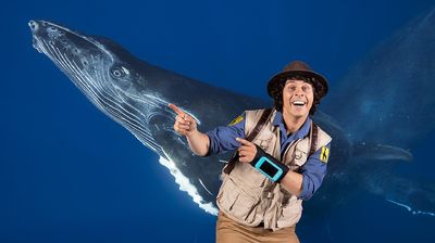Andy and the Humpback Whale