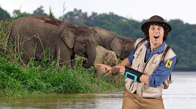 Andy and the Asian Elephants