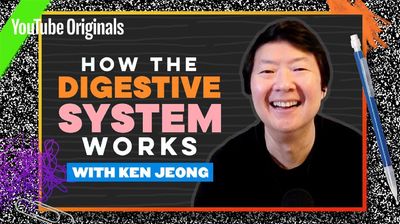 Your Guts, Explained by Ken Jeong