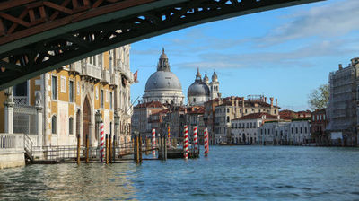 Venice is Drowning | Joaquin Phoenix | Rafa