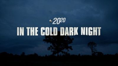 In the Cold Dark Night