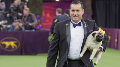 Westminster Dog Show