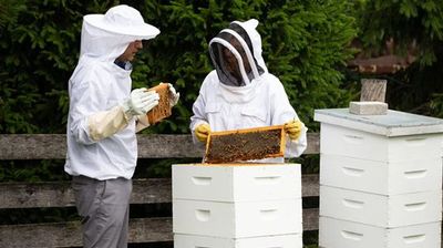 Beekeeping