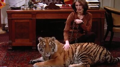 The Lady or the Tiger