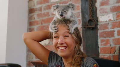 Baby Koalas!
