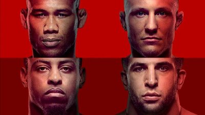 UFC Fight Night 150: Jacaré vs. Hermansson