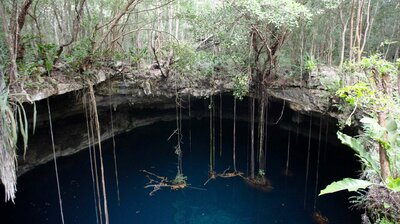 Lost World of the Yucatan